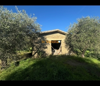 GALLICANO NEL LAZIO TINELLO CON TERRENO