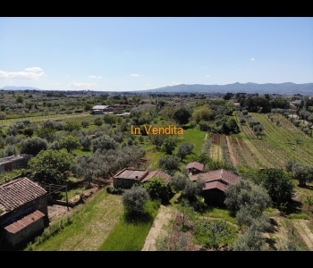GALLICANO NEL LAZIO TINELLO CON TERRENO