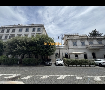 PALESTRINA TINELLO CON TERRENO