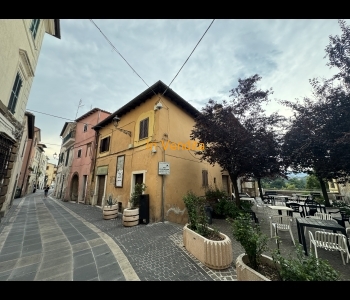 GALLICANO NEL LAZIO APPARTAMENTO RISTRUTTURATO